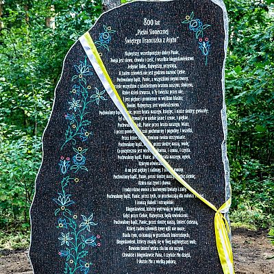 Święto Prowincji św. Maksymiliana grafika