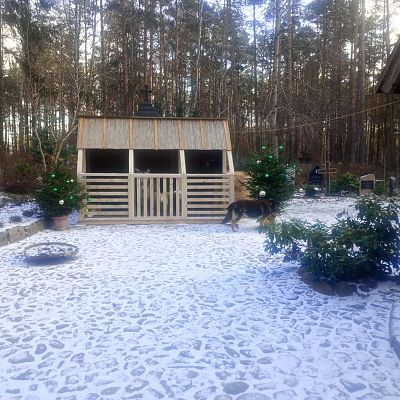 Uroczystość Narodzenia Pańskiego 2025 r grafika